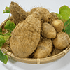 Okinawa Lesser Yam (Dioscorea esculenta)